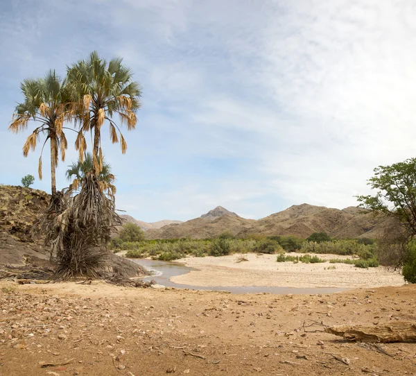 卡奥科沙漠的全景 — 图库照片