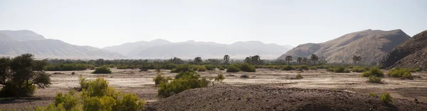 Kaokoland reserva de caça na Namíbia — Fotografia de Stock