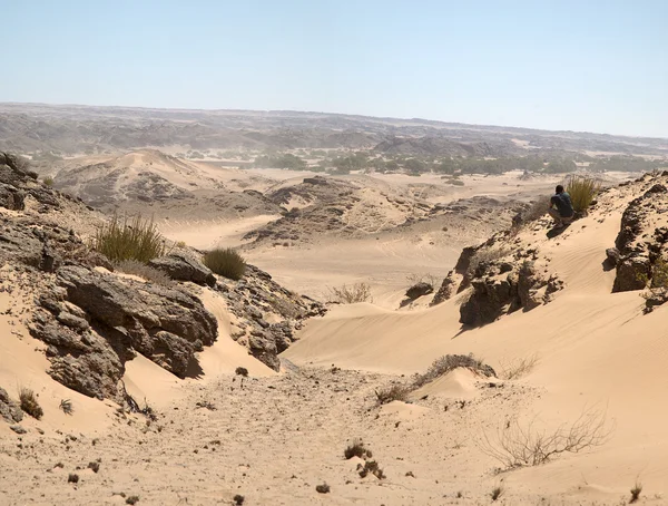 El desierto de la costa del esqueleto — Foto de Stock