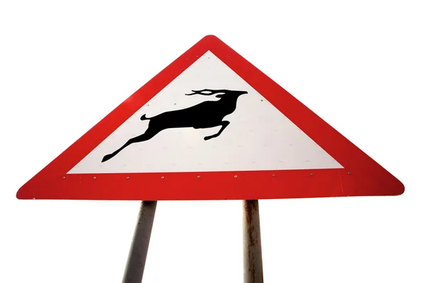 Señal de carretera con advertencia animal —  Fotos de Stock