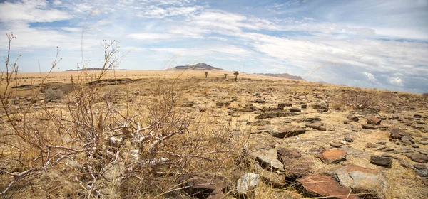 Namib Desierto al solitario — Foto de Stock