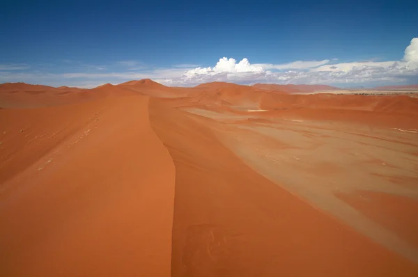 Dune di Sossusvlei — Foto Stock