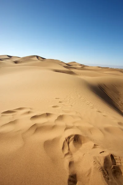 Saharaöknen — Stockfoto
