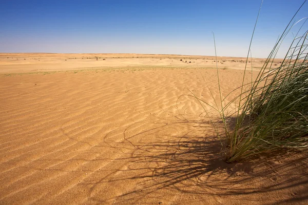 Pustynia w Mauretanii — Zdjęcie stockowe