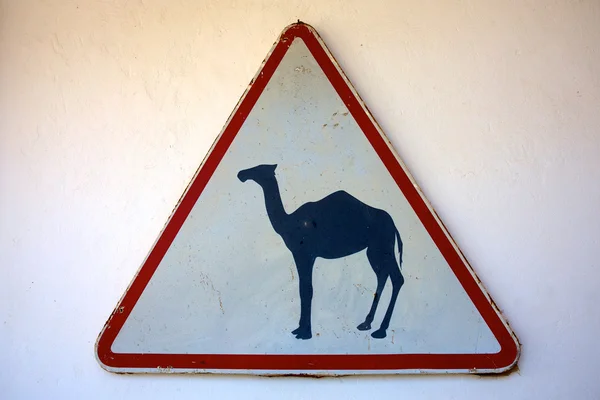 Kamel korsning skylt — Stockfoto