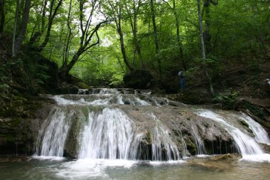 Cascade'lerde bahar orman