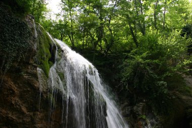 Cascade'lerde bahar orman