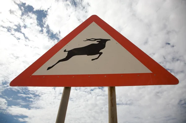 Panneau route avec avertissement animal — Photo