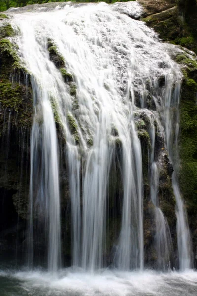 春の森の滝 — ストック写真