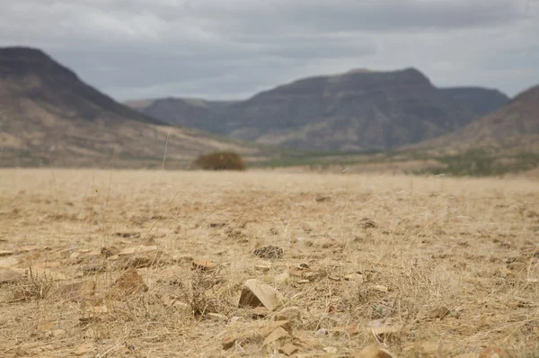 Каоколандская пустыня — стоковое фото