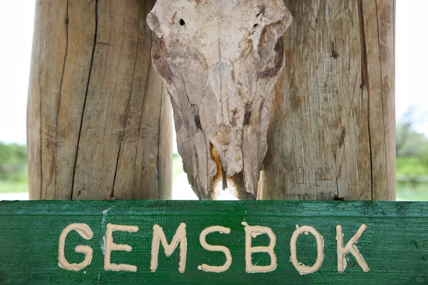 Gemsbok. — Foto de Stock