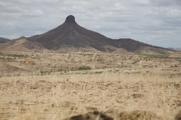 カオコランド砂漠 — ストック写真