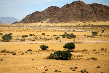 sossusvlei, yollar çakıl