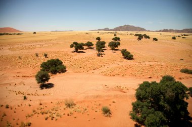 Wilderness in Namibia clipart