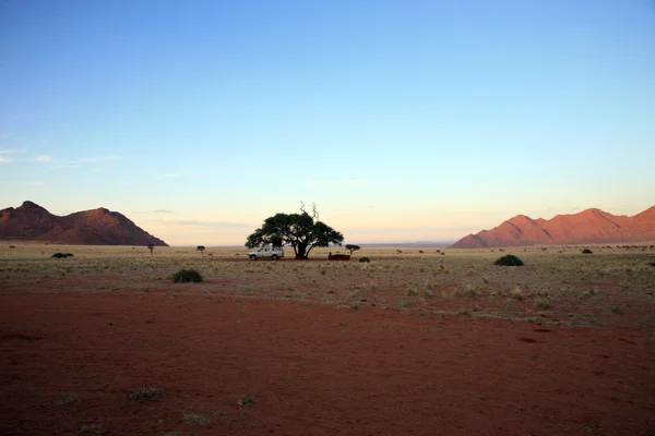 Desierto en Namibia — Foto de Stock
