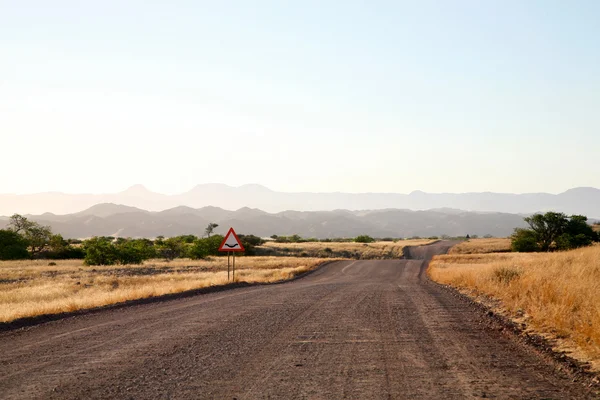 ナミビアの砂利道は — ストック写真
