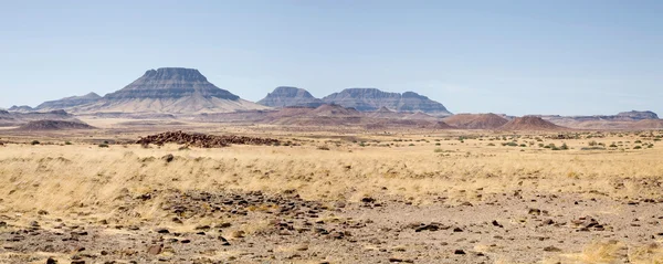 Wildnis in Namibia — Stockfoto