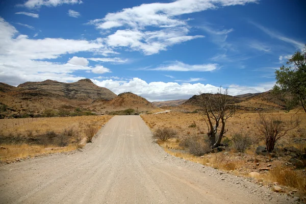 Гравийная дорога Намибии — стоковое фото