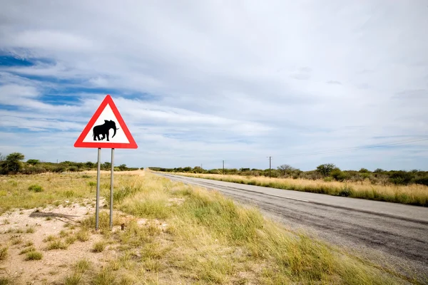 Veszély elefántok út jel — Stock Fotó