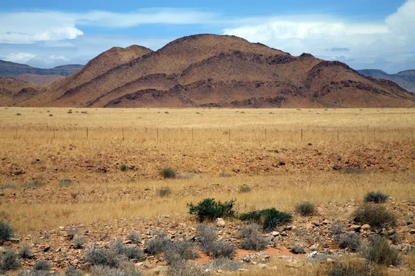 Wilderness in Namibia — Stock Photo, Image