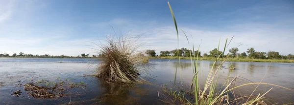 Delta dell'Okavango — Foto Stock