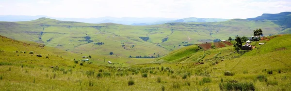 stock image Field on the Garden road