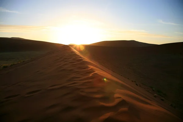 Песчаные дюны Соссусвлея — стоковое фото