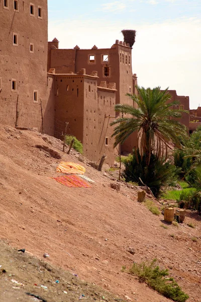 Kasbah in ouarzazate — Stock Photo, Image