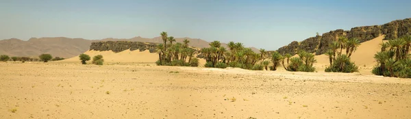 Palmy i naturalny krajobraz w Maroko — Zdjęcie stockowe