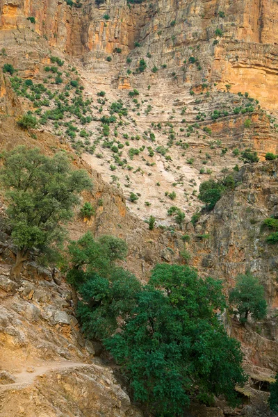 Виконайте каскадне в каскади D'Ouzoud водоспад в Марокко — стокове фото