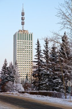 Arkhangelsk. Rusya