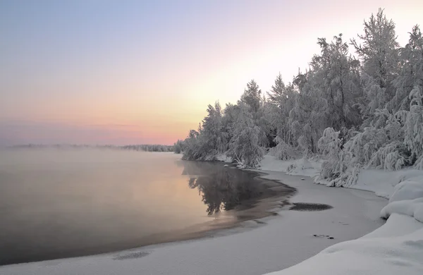 Зимний пейзаж Стоковая Картинка