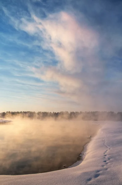 Tree Covered Snow Lake — Stock Photo, Image