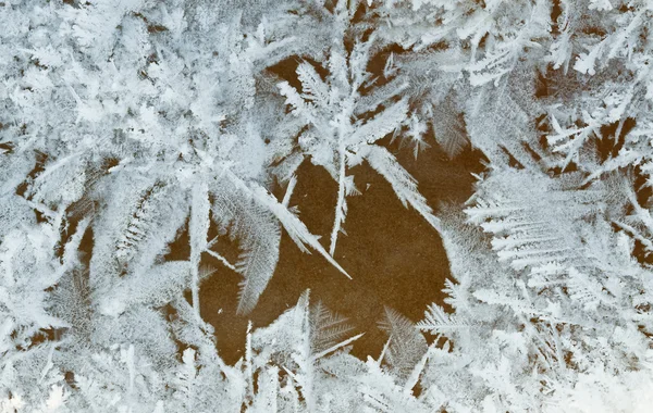 stock image Snow flowers on a frozen window