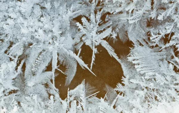 Снежные Цветы Замороженном Окне Стоковое Фото