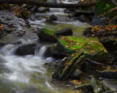 Boşboğaz Brook