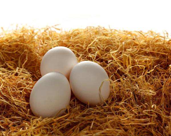 신선한 계란 스톡 사진