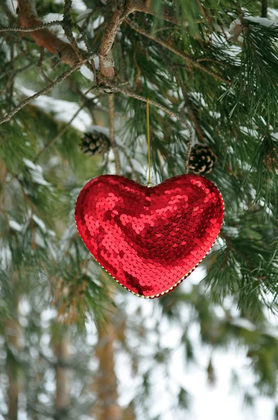 stock image Heart, Valentine's Day