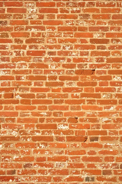 ? lassical 질감, 벽돌 벽 — 스톡 사진