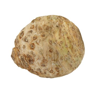 Celeriac in front of a white background clipart