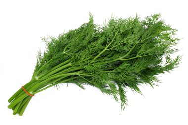 Bunch dill clipart