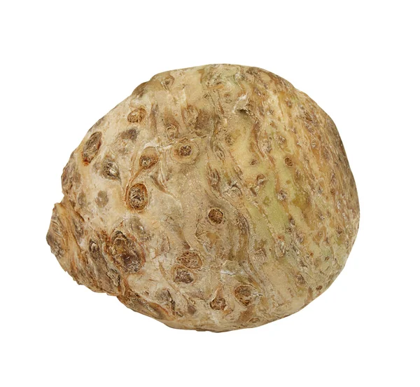 Celeriac in front of a white background — Stock Photo, Image