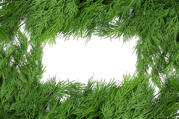 Beyaz Arka Plan Üzerinde Izole Demet Dereotu Herb — Stok fotoğraf