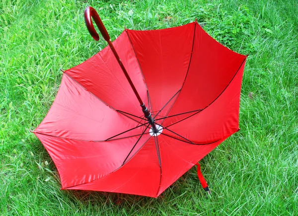 Heldere Rode Paraplu Liggend Een Groen Gras — Stockfoto