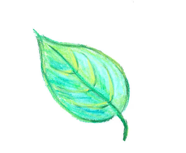 Green Leaf Isolated White — Stock Photo, Image
