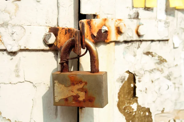 Brass Padlock Chain Old Door — Stock Photo, Image