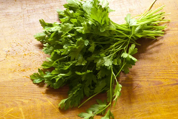 A beam of green parsley — Stock Photo, Image
