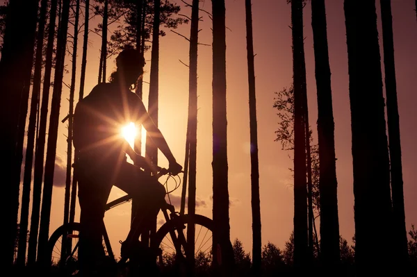 Homem de bicicleta na floresta . Fotos De Bancos De Imagens Sem Royalties