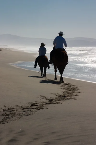 Horses and riders on beach Stock Image