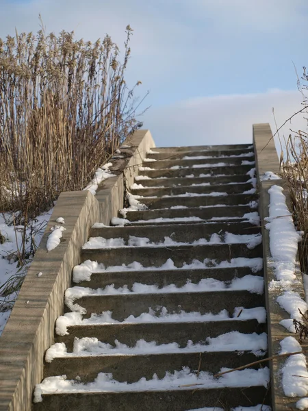 Escaliers en béton recouvert de neige — Photo